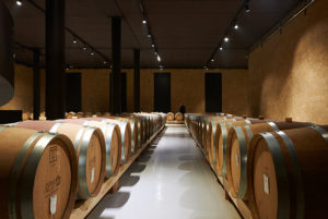 cantina vinicola